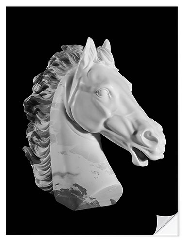 Wall sticker Horse bust II