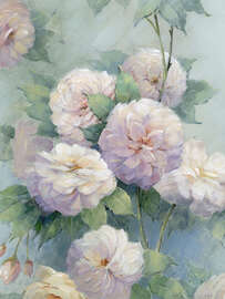 Magnettafel Weiße Pfingstrosen