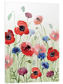 Foam board print Poppy meadow