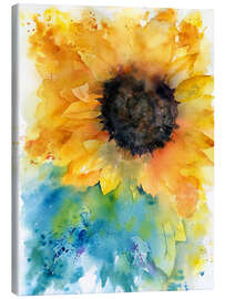 Canvas print  Sunflower - Rachel McNaughton