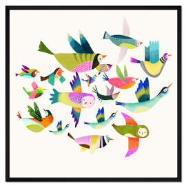 Gerahmter Kunstdruck Bunte Zugvögel