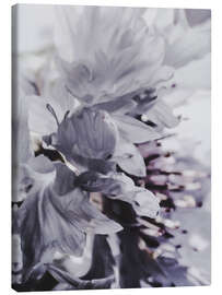 Canvas print Cornflower I