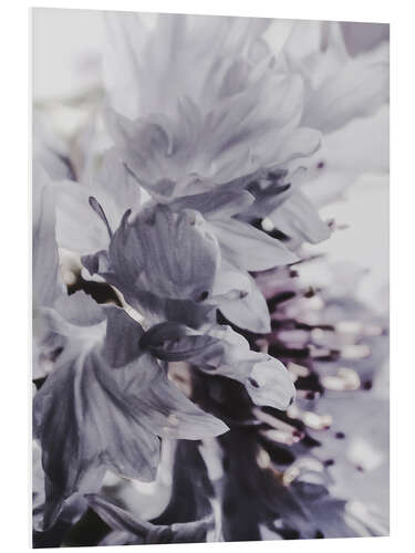 PVC-taulu Cornflower I