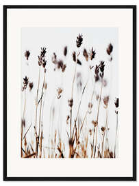 Gerahmter Kunstdruck Lavendel