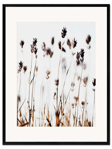 Framed art print Lavender