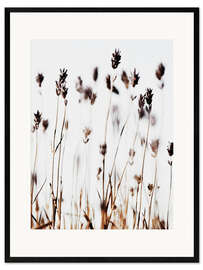 Ingelijste kunstdruk Lavender