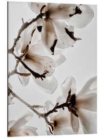 Magnettafel Weiße Magnolie II