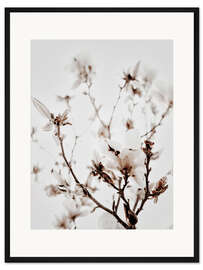 Gerahmter Kunstdruck Weiße Magnolie I