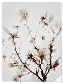 Wall sticker White Magnolia I