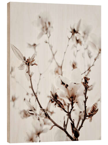 Wood print White Magnolia I