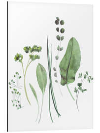 Aluminium print Herbs