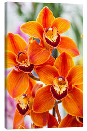 Lærredsbillede  Orchid III - Mikolaj Gospodarek