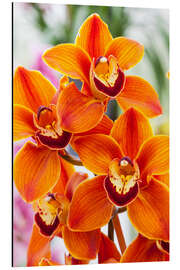 Magnettafel Orchidee III
