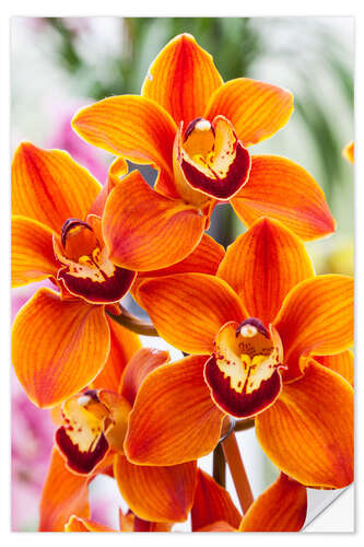 Wall sticker Orchid III