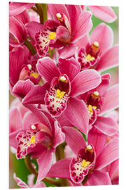 Foam board print Orchid V