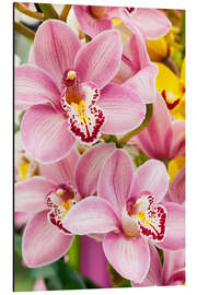 Magnettafel Orchidee VI