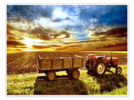 Poster Tractor in the evening sun