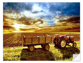 Selvklebende plakat Tractor in the evening sun