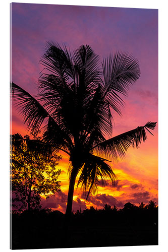 Acrylic print Palm tree in the sunset