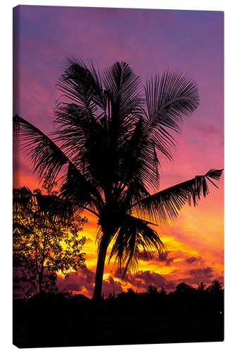 Canvas print Palm tree in the sunset