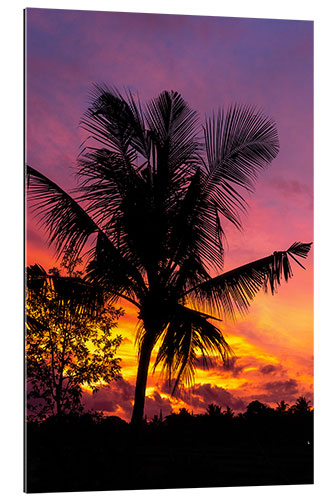 Gallery print Palm tree in the sunset