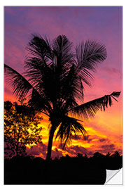 Wall sticker Palm tree in the sunset