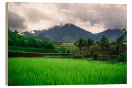 Quadro de madeira Campos de arroz em Bali