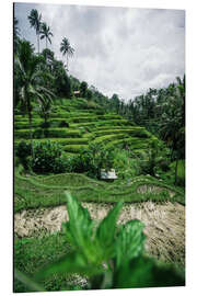Magnettafel Reisterrassen auf Bali