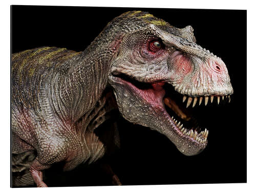 Alubild Tyrannosaurus Portrait