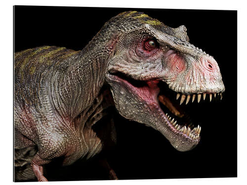 Galleritryk Tyrannosaurus portrait