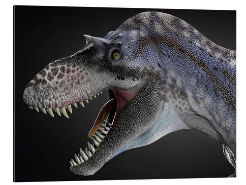 Gallery Print Albertosaurus Portrait