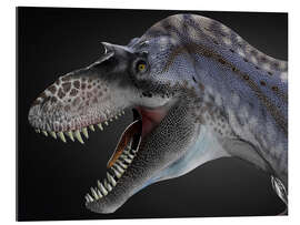 Gallery print Albertosaurus portrait