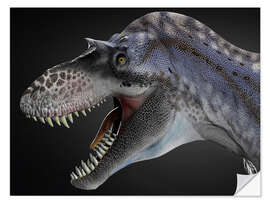 Wandsticker Albertosaurus Portrait