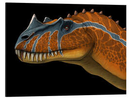 Magnettafel Ceratosaurus Portrait