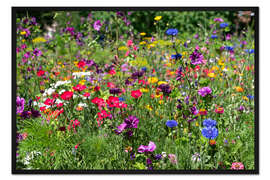 Gerahmter Kunstdruck Wildblumen im Garten