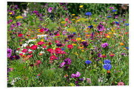 Foam board print Wildflowers in the garden