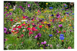 Magnettafel Wildblumen im Garten