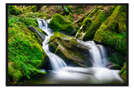 Gerahmter Kunstdruck Kleiner Wasserfall im Schwarzwald