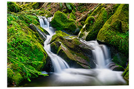 Foam board print Small waterfall in the Black Forest