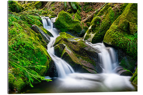 Tableau en plexi-alu Petite cascade dans la Forêt-Noire