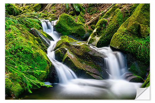 Wall sticker Small waterfall in the Black Forest