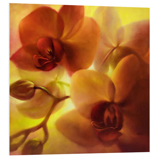 Foam board print Orchids I