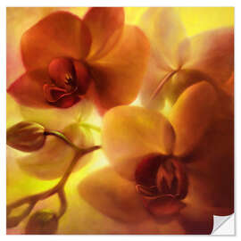 Wall sticker Orchids I