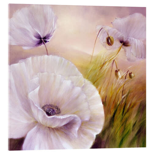 Acrylglasbild Weißer Mohn auf lila
