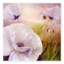 Poster White poppy flowers on purple