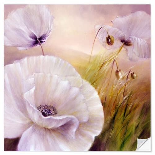 Autocolante decorativo White poppy flowers on purple