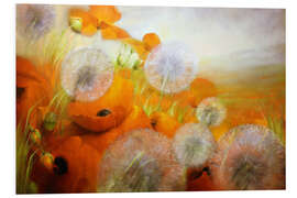 Foam board print Poppy meadow with dandelions