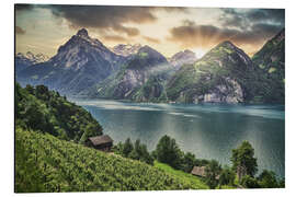 Aluminium print Sunset at Lake Lucerne