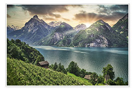 Poster Sunset at Lake Lucerne