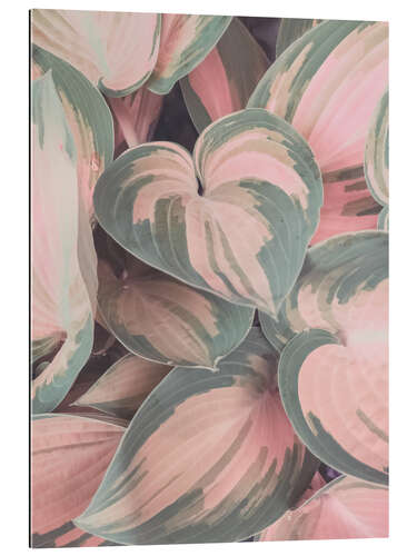 Gallery print Delicate Pink Leaves